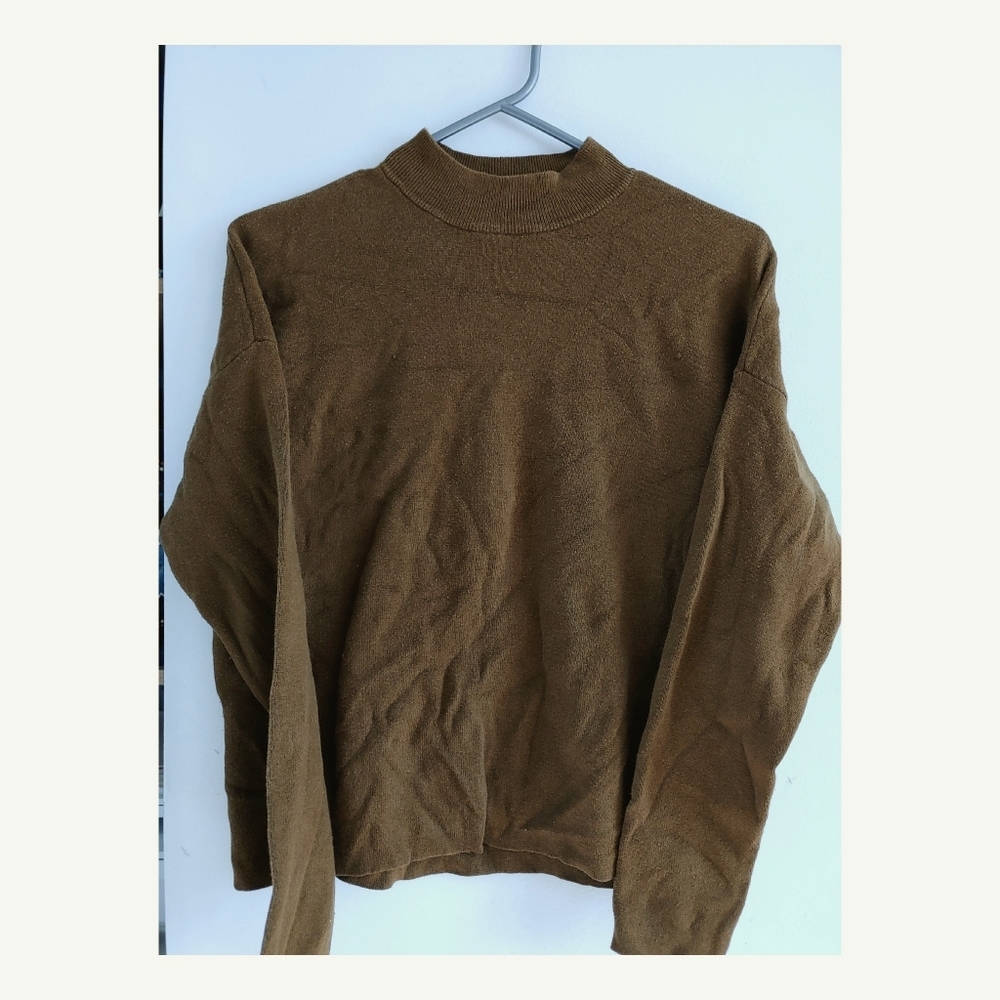 Brown turtleneck
